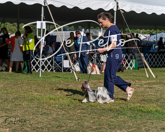 20250830-DSC05756