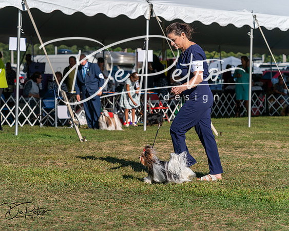 20250830-DSC05753
