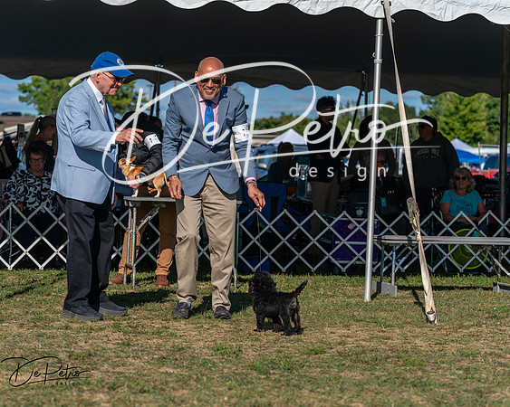 20250830-DSC05778