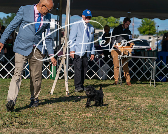 20250830-DSC05782