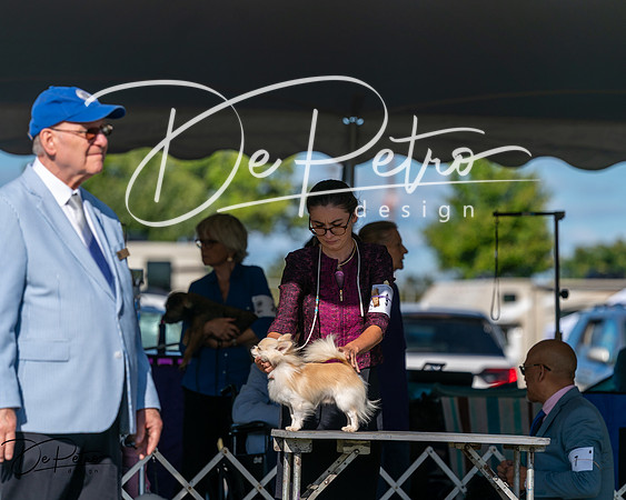 20250830-DSC05804