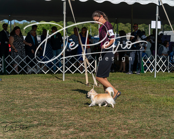 20250830-DSC05815