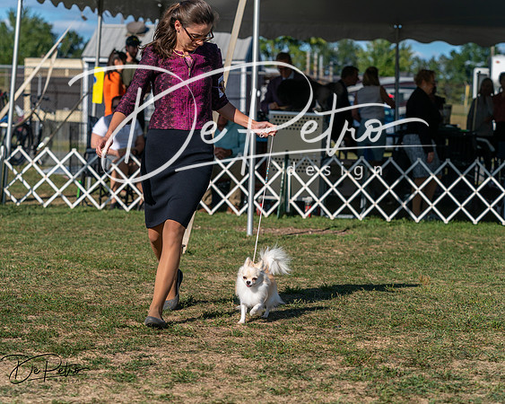 20250830-DSC05828