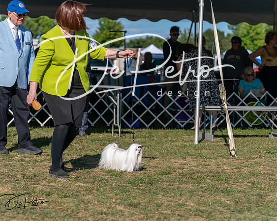 20250830-DSC05842