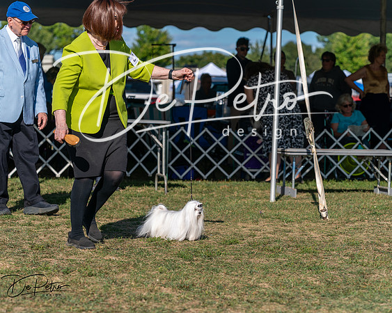 20250830-DSC05843