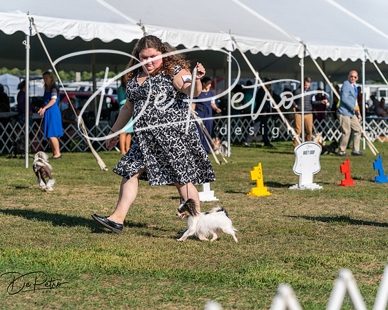 20250830-DSC05884