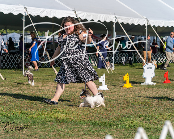 20250830-DSC05885