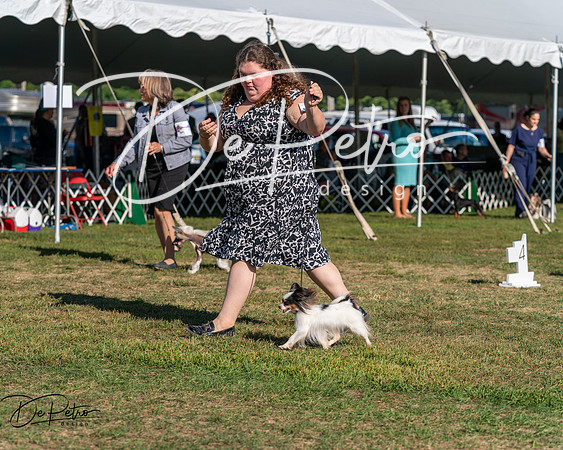 20250830-DSC05890