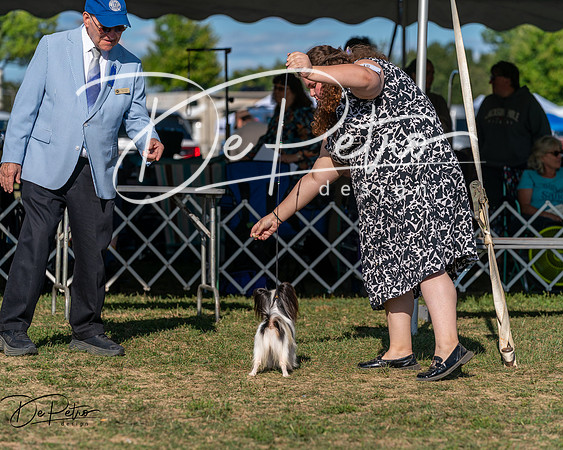 20250830-DSC05896