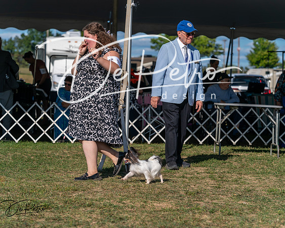 20250830-DSC05897
