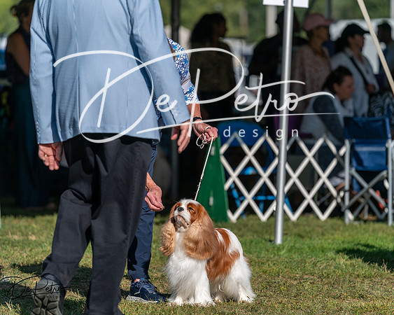 20250830-DSC05910