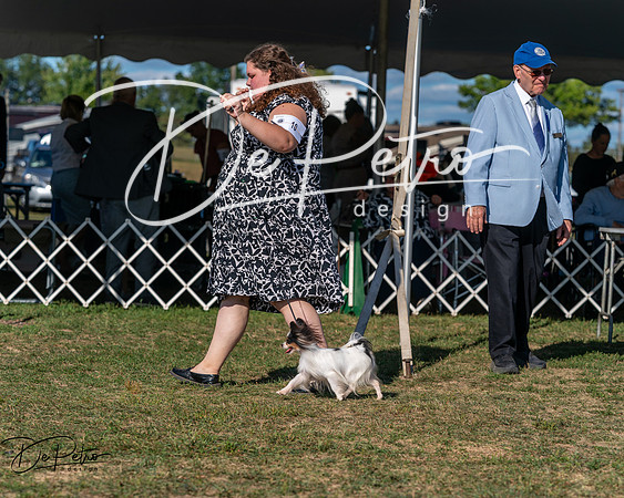 20250830-DSC05900