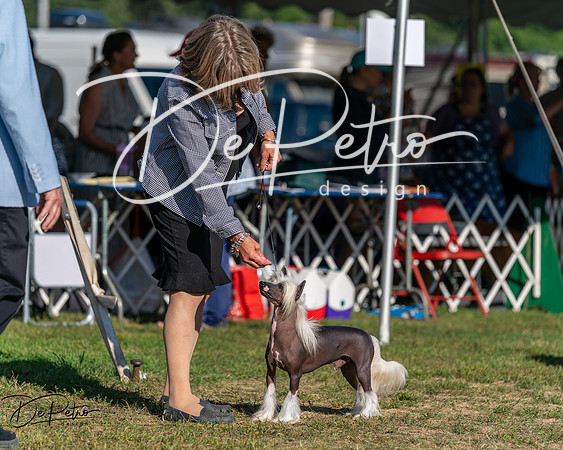 20250830-DSC05913