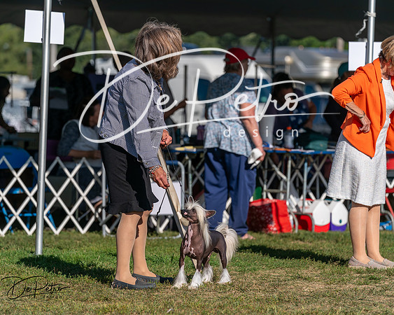 20250830-DSC05919