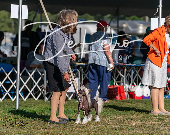 20250830-DSC05920