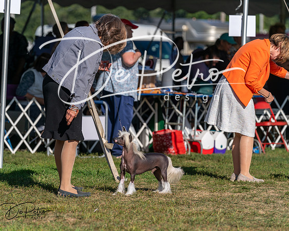 20250830-DSC05924