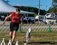 20250830-DSC05947
