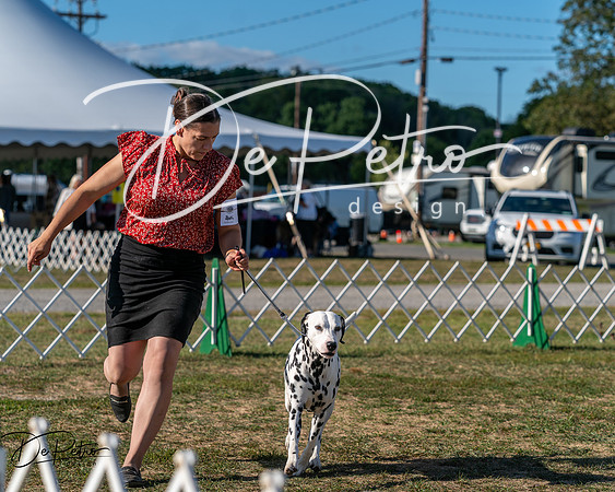 20250830-DSC05947