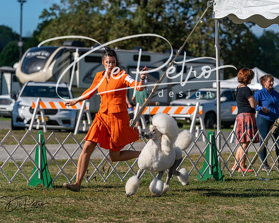 20250830-DSC05925