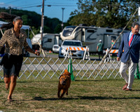 20250830-DSC05953