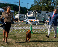 20250830-DSC05954