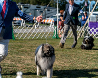20250830-DSC05956