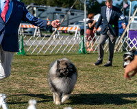 20250830-DSC05955
