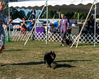 20250830-DSC05968