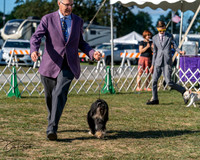 20250830-DSC05972