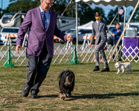 20250830-DSC05974