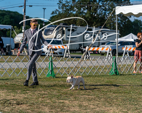 20250830-DSC05976