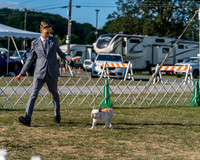 20250830-DSC05981