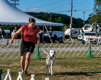 20250830-DSC05945