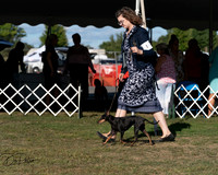 20250830-DSC06184