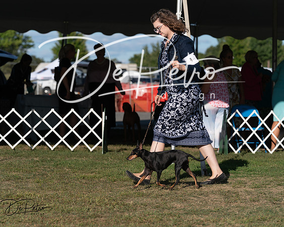 20250830-DSC06184