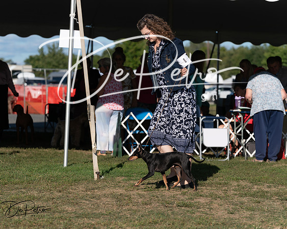 20250830-DSC06178