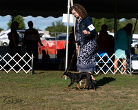 20250830-DSC06182