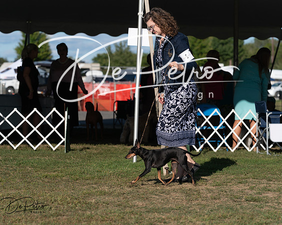 20250830-DSC06182