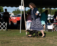 20250830-DSC06180