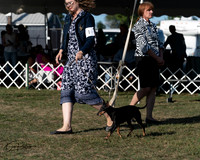 20250830-DSC06186
