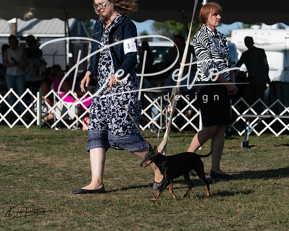 20250830-DSC06186