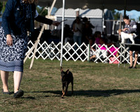 20250830-DSC06193