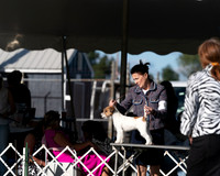20250830-DSC06198