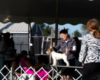 20250830-DSC06199