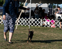 20250830-DSC06195