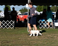 20250830-DSC06203