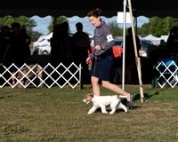 20250830-DSC06206
