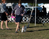 20250830-DSC06210