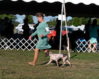 20250830-DSC06155