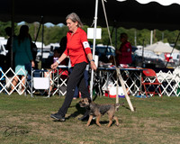 20250830-DSC06166